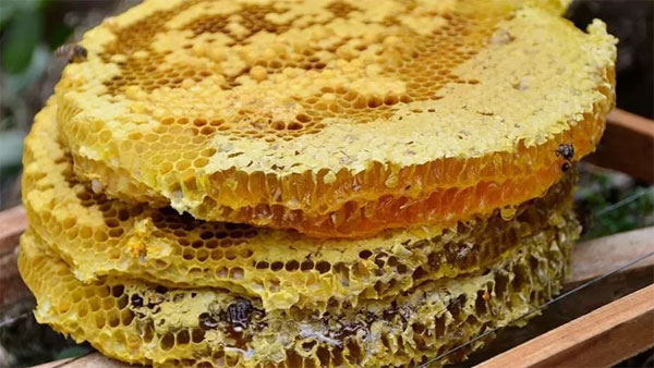 野生蜂蜜